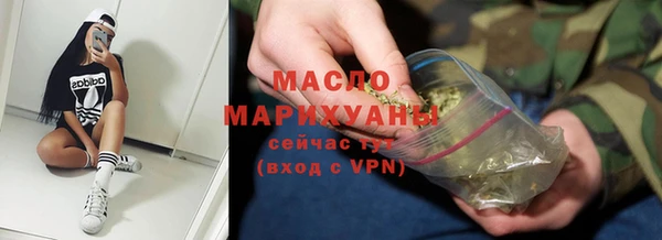 индика Приозерск