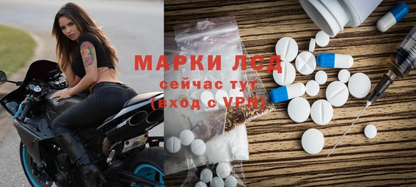 индика Приозерск