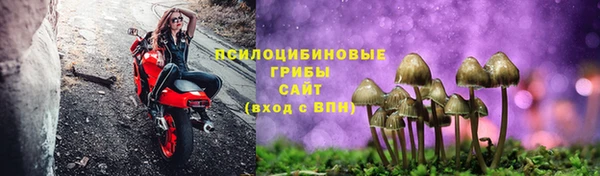 молекула духа Армянск