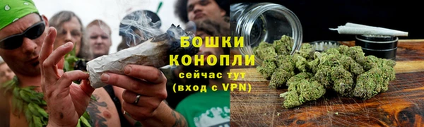 не бодяженный Арсеньев